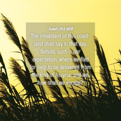 Picture 04 - Isaiah 20:6 WEB - The inhabitant of this coast-land shall say in - Bible Verse Picture