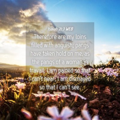 Picture 04 - Isaiah 21:3 WEB - Therefore are my loins filled with anguish; pangs - Bible Verse Picture