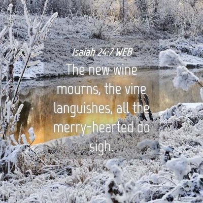 Picture 04 - Isaiah 24:7 WEB - The new wine mourns, the vine languishes, all the - Bible Verse Picture