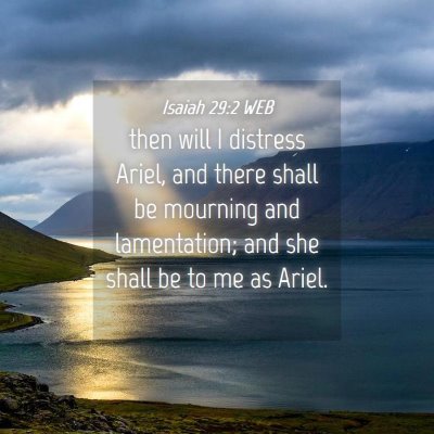 Picture 04 - Isaiah 29:2 WEB - then will I distress Ariel, and there shall be - Bible Verse Picture