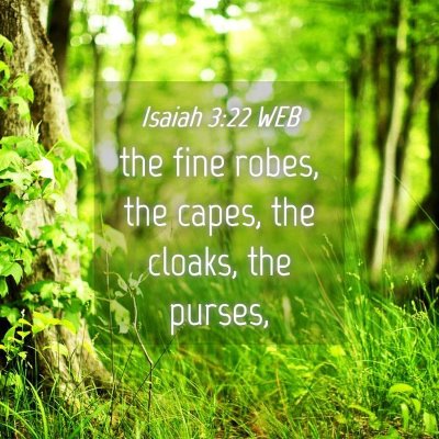 Picture 04 - Isaiah 3:22 WEB - the fine robes, the capes, the cloaks, the - Bible Verse Picture