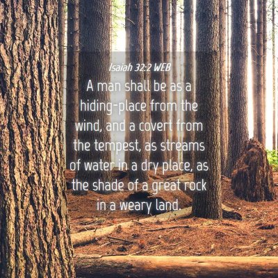 Picture 04 - Isaiah 32:2 WEB - A man shall be as a hiding-place from the wind, - Bible Verse Picture