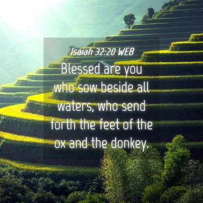 Picture 04 - Isaiah 32:20 WEB - Blessed are you who sow beside all waters, who - Bible Verse Picture