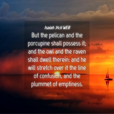 Picture 04 - Isaiah 34:11 WEB - But the pelican and the porcupine shall possess - Bible Verse Picture