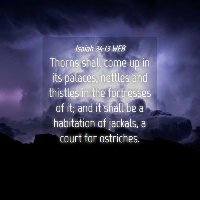 Picture 04 - Isaiah 34:13 WEB - Thorns shall come up in its palaces, nettles and - Bible Verse Picture