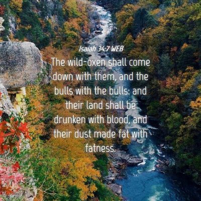 Picture 04 - Isaiah 34:7 WEB - The wild-oxen shall come down with them, and the - Bible Verse Picture
