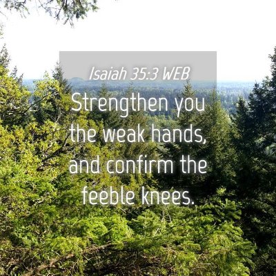 Picture 04 - Isaiah 35:3 WEB - Strengthen you the weak hands, and confirm the - Bible Verse Picture