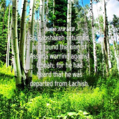 Picture 04 - Isaiah 37:8 WEB - So Rabshakeh returned, and found the king of - Bible Verse Picture