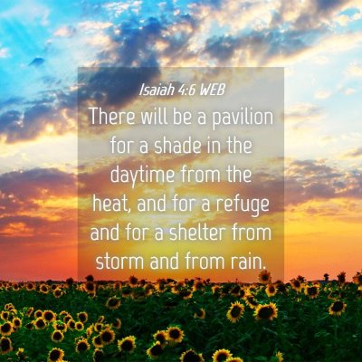 Picture 04 - Isaiah 4:6 WEB - There will be a pavilion for a shade in the - Bible Verse Picture