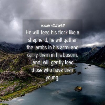 Picture 04 - Isaiah 40:11 WEB - He will feed his flock like a shepherd, he will - Bible Verse Picture