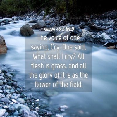 Picture 04 - Isaiah 40:6 WEB - The voice of one saying, Cry. One said, What - Bible Verse Picture
