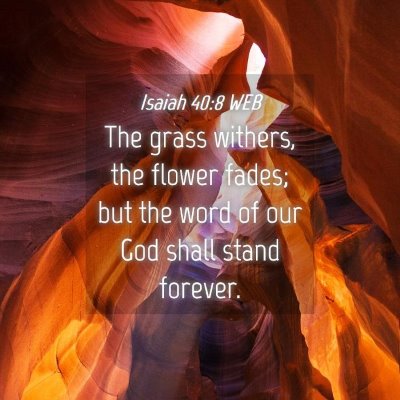Picture 04 - Isaiah 40:8 WEB - The grass withers, the flower fades; but the word - Bible Verse Picture