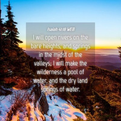 Picture 04 - Isaiah 41:18 WEB - I will open rivers on the bare heights, and - Bible Verse Picture