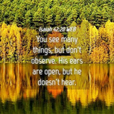 Picture 04 - Isaiah 42:20 WEB - You see many things, but don't observe. His ears - Bible Verse Picture