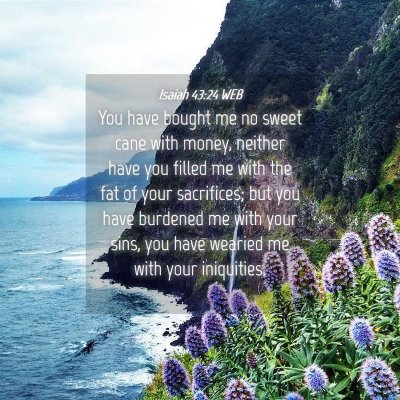 Picture 04 - Isaiah 43:24 WEB - You have bought me no sweet cane with money, - Bible Verse Picture