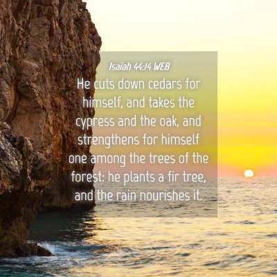 Picture 04 - Isaiah 44:14 WEB - He cuts down cedars for himself, and takes the - Bible Verse Picture