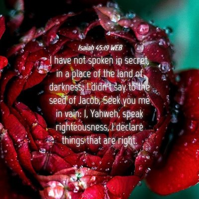 Picture 04 - Isaiah 45:19 WEB - I have not spoken in secret, in a place of the - Bible Verse Picture