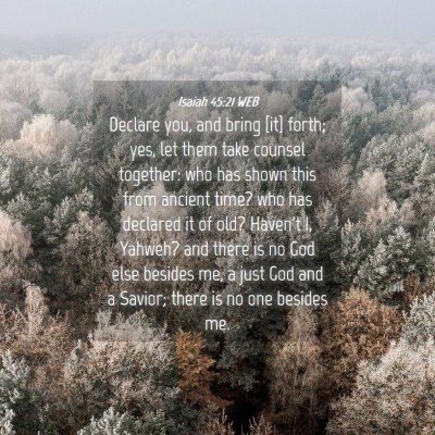 Picture 04 - Isaiah 45:21 WEB - Declare you, and bring [it] forth; yes, let them - Bible Verse Picture