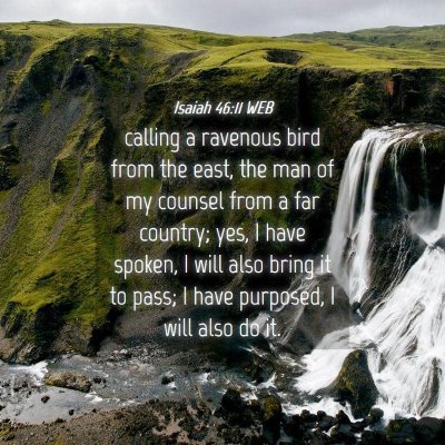 Picture 04 - Isaiah 46:11 WEB - calling a ravenous bird from the east, the man of - Bible Verse Picture