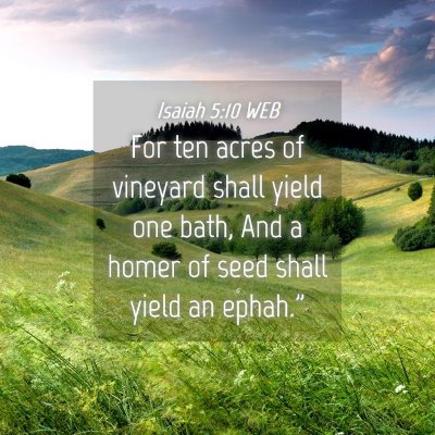 Picture 04 - Isaiah 5:10 WEB - For ten acres of vineyard shall yield one bath, - Bible Verse Picture