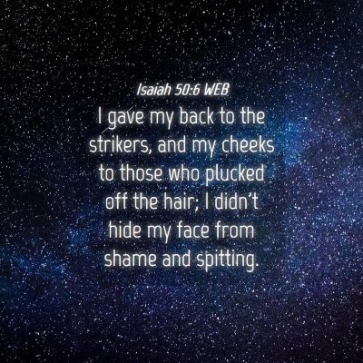 Picture 04 - Isaiah 50:6 WEB - I gave my back to the strikers, and my cheeks to - Bible Verse Picture