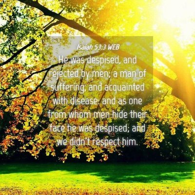 Picture 04 - Isaiah 53:3 WEB - He was despised, and rejected by men; a man of - Bible Verse Picture