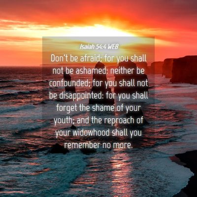 Picture 04 - Isaiah 54:4 WEB - Don't be afraid; for you shall not be ashamed: - Bible Verse Picture