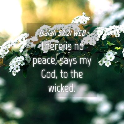 Picture 04 - Isaiah 57:21 WEB - There is no peace, says my God, to the - Bible Verse Picture