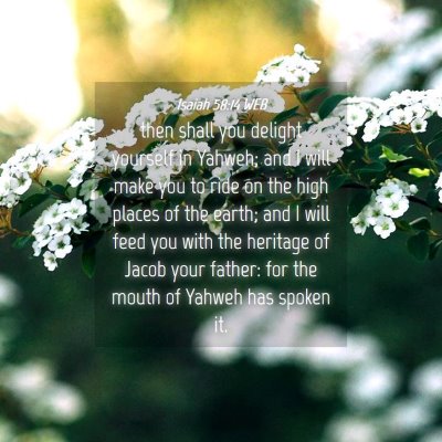 Picture 04 - Isaiah 58:14 WEB - then shall you delight yourself in Yahweh; and I - Bible Verse Picture