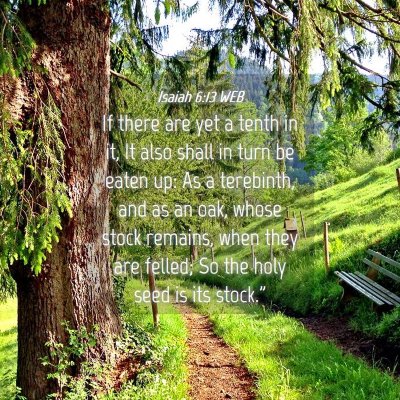 Picture 04 - Isaiah 6:13 WEB - If there are yet a tenth in it, It also shall in - Bible Verse Picture