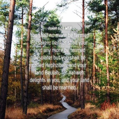 Picture 04 - Isaiah 62:4 WEB - You shall no more be termed Forsaken; neither - Bible Verse Picture