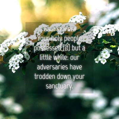 Picture 04 - Isaiah 63:18 WEB - Your holy people possessed [it] but a little - Bible Verse Picture