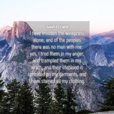 Picture 04 - Isaiah 63:3 WEB - I have trodden the winepress alone; and of the - Bible Verse Picture