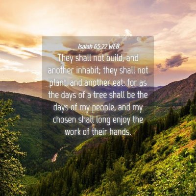 Picture 04 - Isaiah 65:22 WEB - They shall not build, and another inhabit; they - Bible Verse Picture