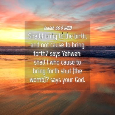 Picture 04 - Isaiah 66:9 WEB - Shall I bring to the birth, and not cause to - Bible Verse Picture