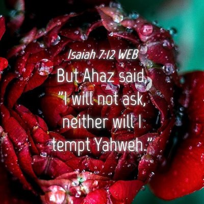 Picture 04 - Isaiah 7:12 WEB - But Ahaz said, 