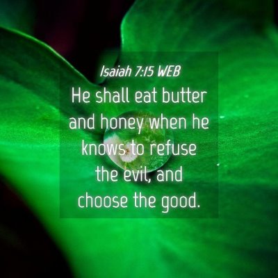 Picture 04 - Isaiah 7:15 WEB - He shall eat butter and honey when he knows to - Bible Verse Picture