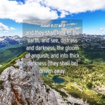 Picture 04 - Isaiah 8:22 WEB - and they shall look to the earth, and see, - Bible Verse Picture