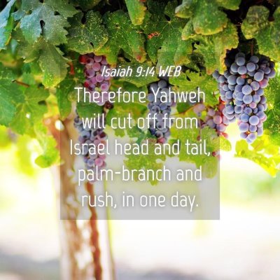 Picture 04 - Isaiah 9:14 WEB - Therefore Yahweh will cut off from Israel head - Bible Verse Picture