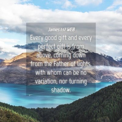 Picture 04 - James 1:17 WEB - Every good gift and every perfect gift is from - Bible Verse Picture