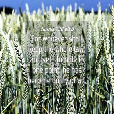 Picture 04 - James 2:10 WEB - For whoever shall keep the whole law, and yet - Bible Verse Picture