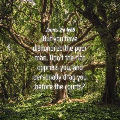 Picture 04 - James 2:6 WEB - But you have dishonored the poor man. Don't the - Bible Verse Picture