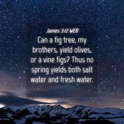 Picture 04 - James 3:12 WEB - Can a fig tree, my brothers, yield olives, or a - Bible Verse Picture