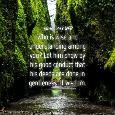 Picture 04 - James 3:13 WEB - Who is wise and understanding among you? Let him - Bible Verse Picture