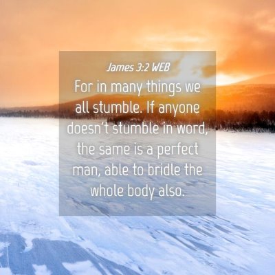 Picture 04 - James 3:2 WEB - For in many things we all stumble. If anyone - Bible Verse Picture