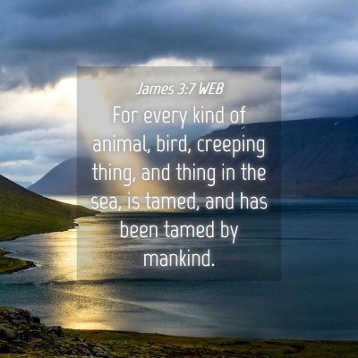 Picture 04 - James 3:7 WEB - For every kind of animal, bird, creeping thing, - Bible Verse Picture