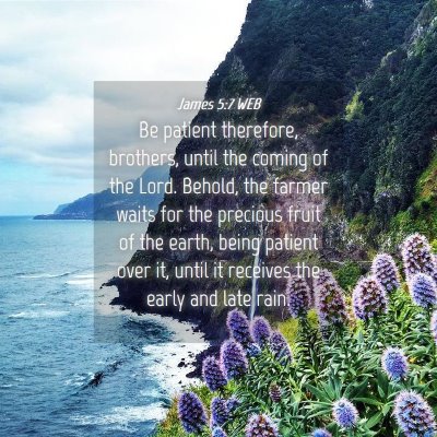 Picture 04 - James 5:7 WEB - Be patient therefore, brothers, until the coming - Bible Verse Picture