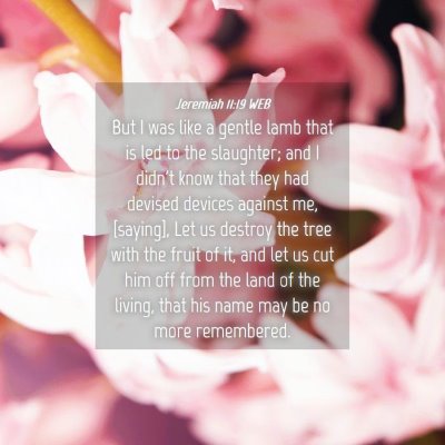 Picture 04 - Jeremiah 11:19 WEB - But I was like a gentle lamb that is led to the - Bible Verse Picture