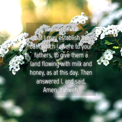 Picture 04 - Jeremiah 11:5 WEB - that I may establish the oath which I swore to - Bible Verse Picture