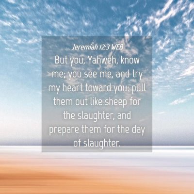 Picture 04 - Jeremiah 12:3 WEB - But you, Yahweh, know me; you see me, and try my - Bible Verse Picture